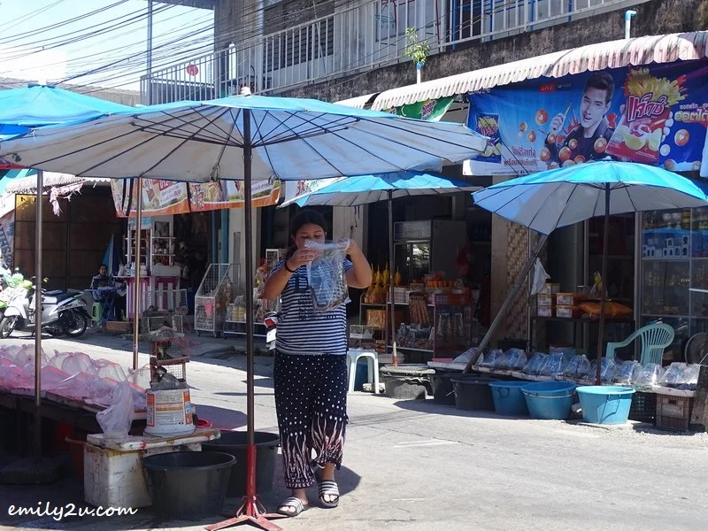  2. stalls outside the temple that sell fish and other animals for liberation ceremony
