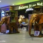 Ripley's Adventureland