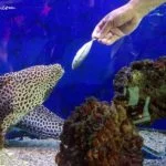 10 Labuan Marine Museum