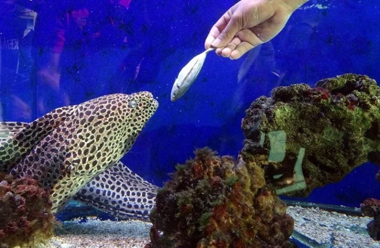 Labuan Marine Museum