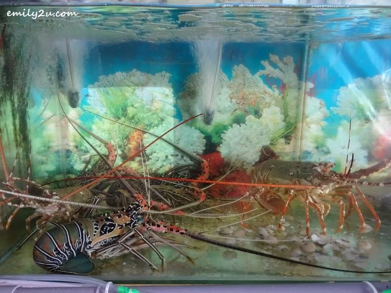  3. inside one of the aquariums