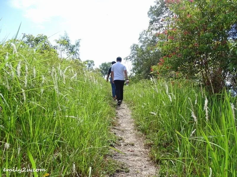 5. start of the walking trail