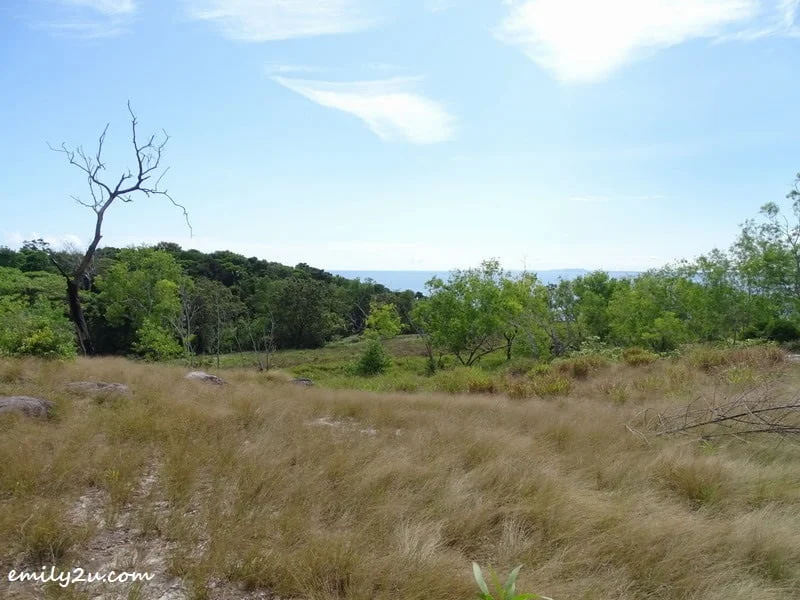 7. one of the views
