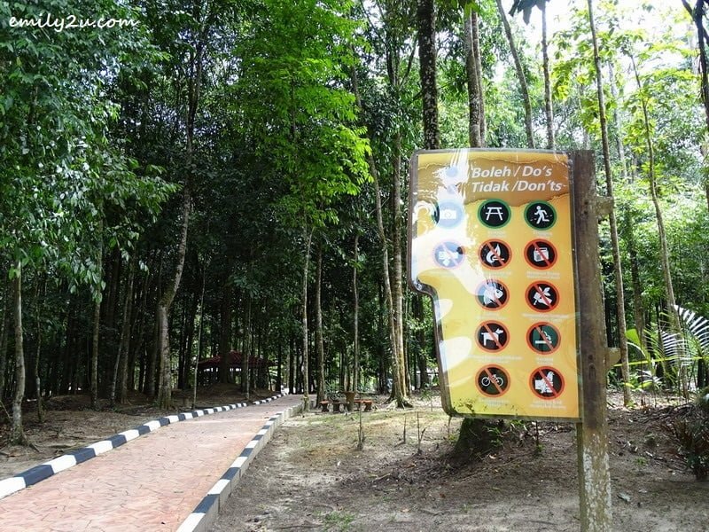 4 Kledang Saiong Forest Eco Park