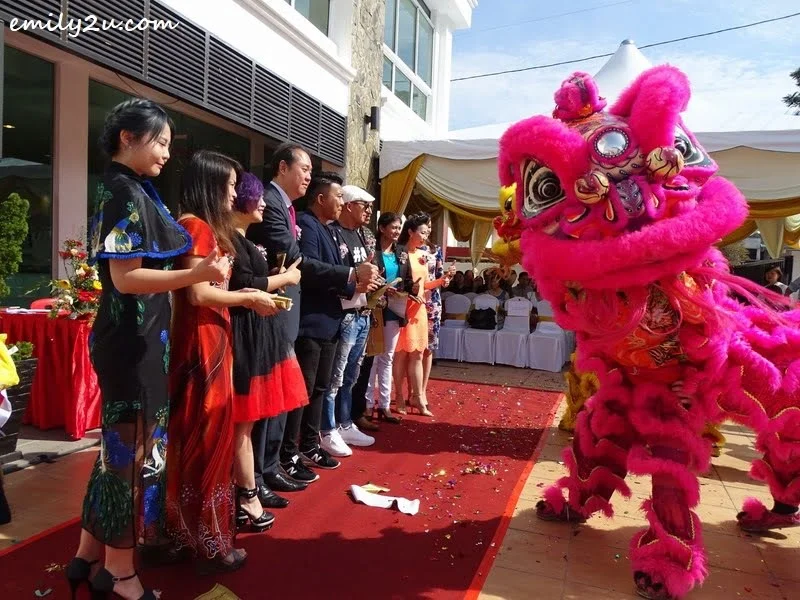 10. lion dance performance