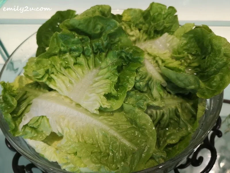 10. lettuce from the salad bar