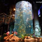 Aquaria KLCC: World Class Oceanarium