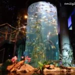 11 Aquaria KLCC