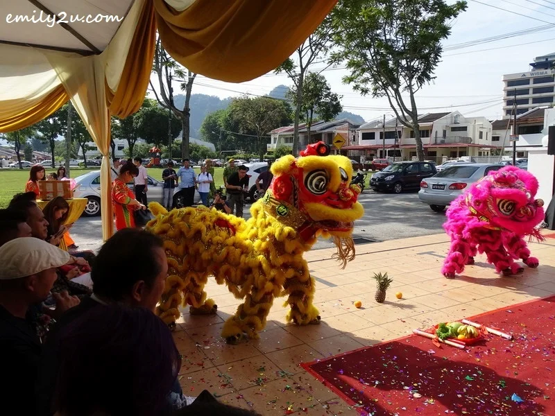 11. auspicious double lions