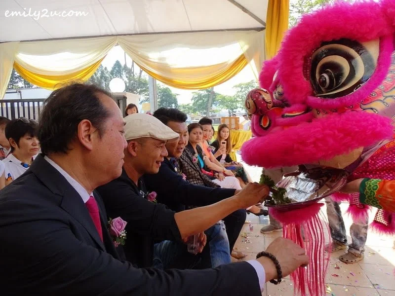 12. blessings from the lion