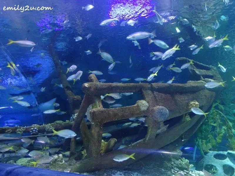 15. underwater scene