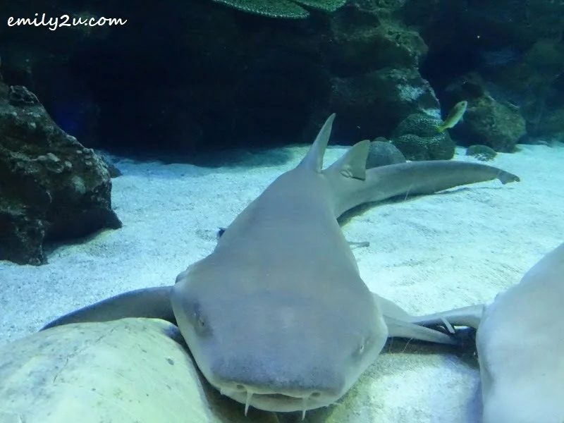 18. aquatic animals feeding times: 12pm & 3pm daily