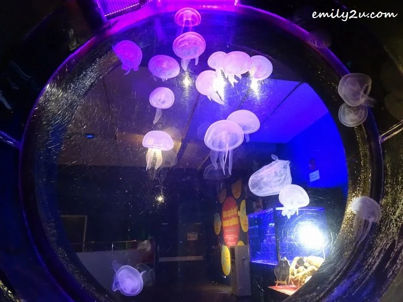 19. Moon Jelly