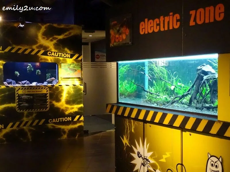 4. exhibits - flash photography is prohibited