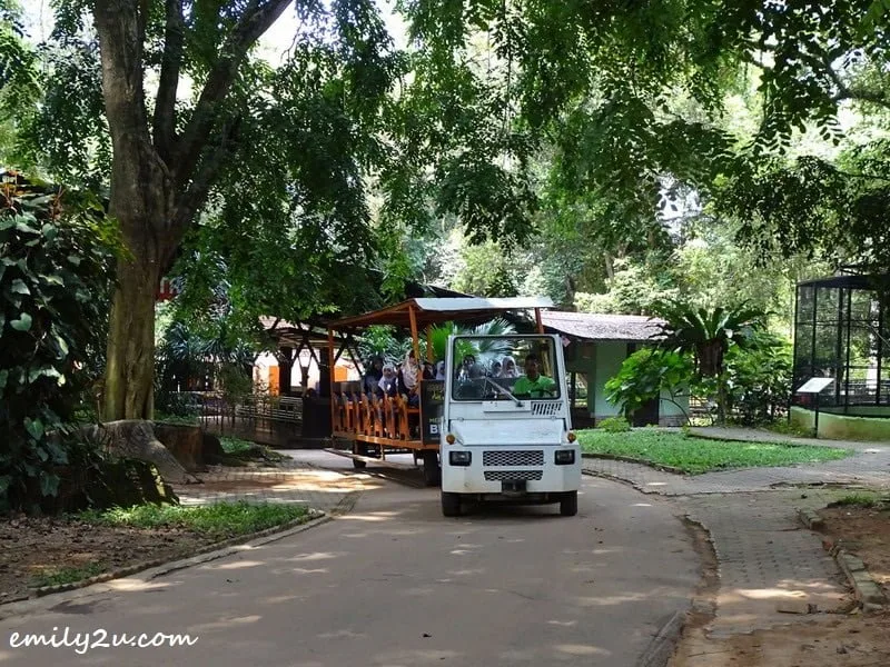 9. tram