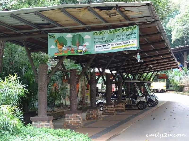 3. buggy rental, advisable as the grounds are wide
