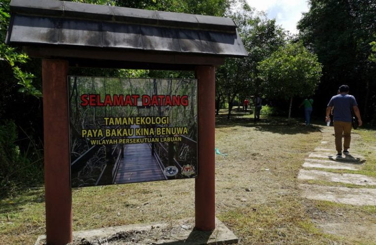 Kina Benuwa Mangrove Ecology Park, Labuan
