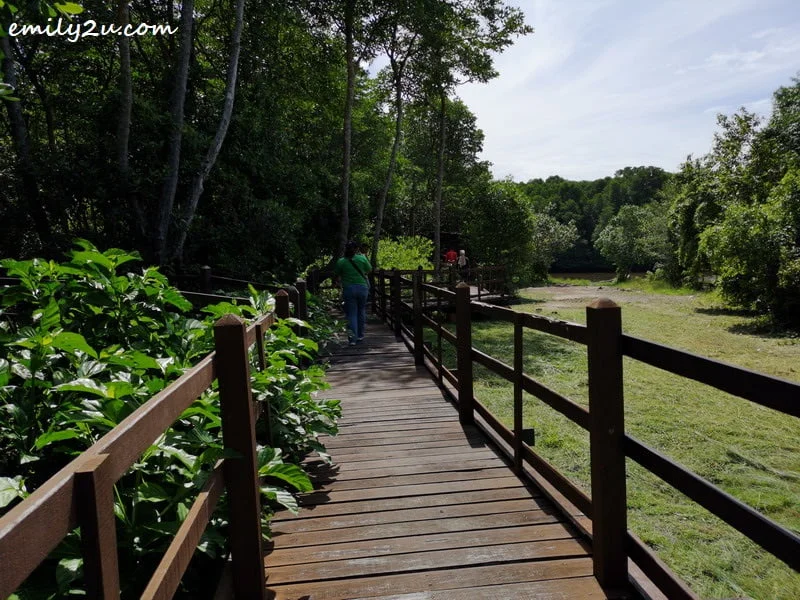 2. the boardwalk