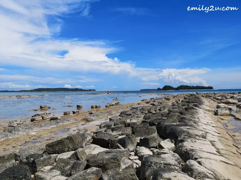 3. low tide