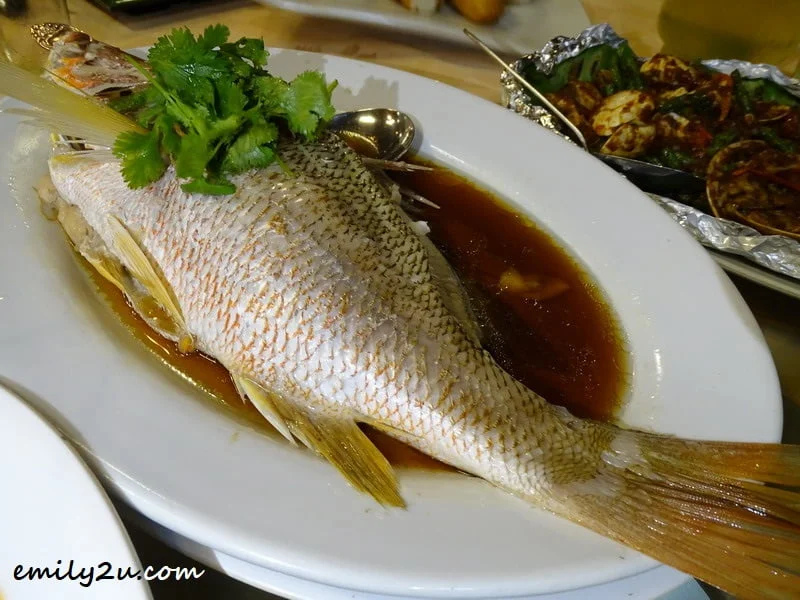 5. fish