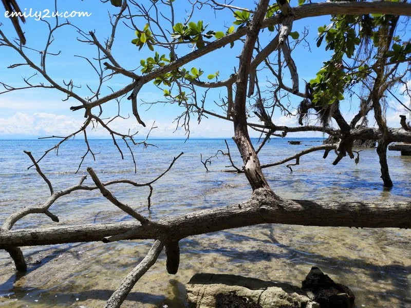 9. the much unexplored side of Pulau Rusukan Besar