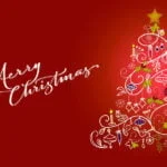 Merry Christmas & Happy New Year 2019! christmas