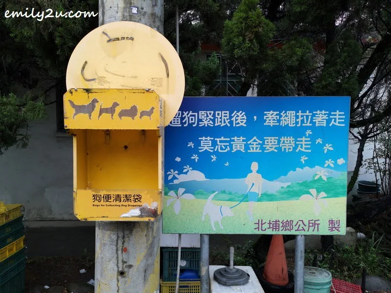 12. Taiwan is a dog-friendly country. This is available in Beipu Township.