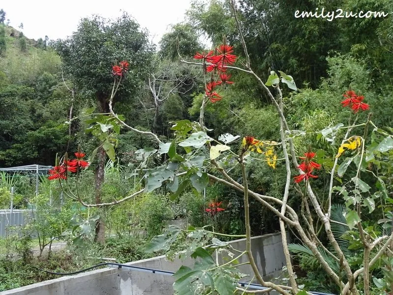 12. stop and smell the flowers