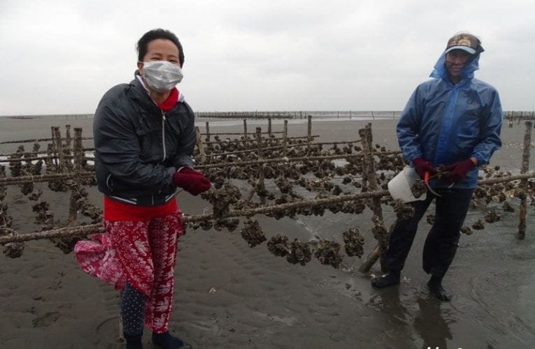 Beyond Taipei (台北)