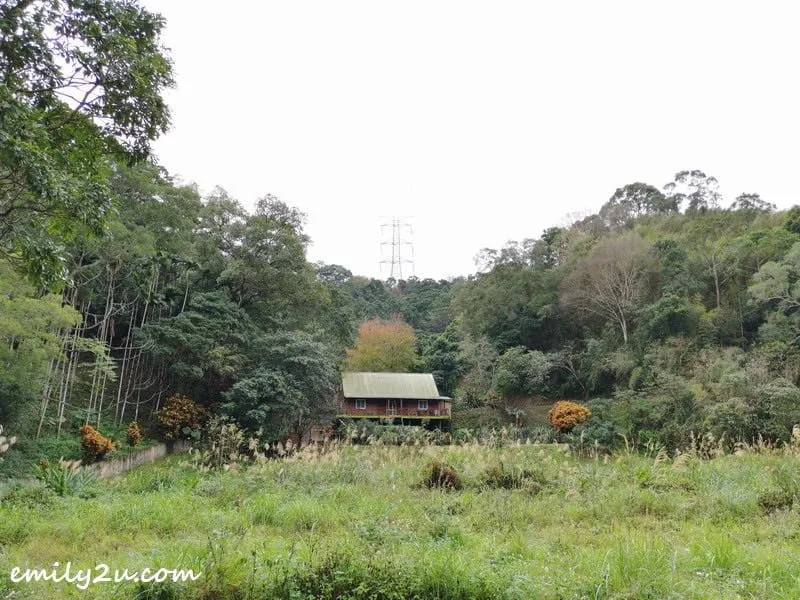 3. cottage house in the middle of nowhere