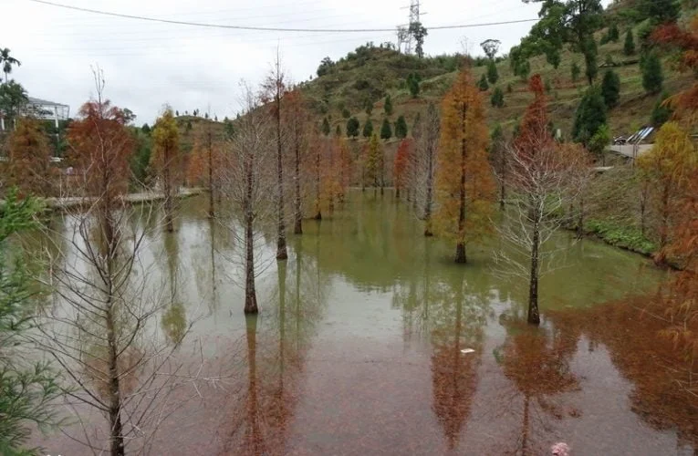 The As Yet Unnamed Park in Sanwan Township