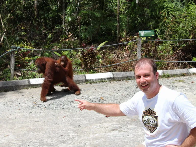 visiting Semenggoh Orang Utan Rehabilitation Centre, Sarawak