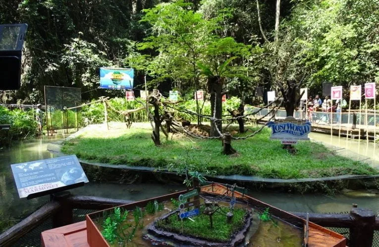 First Man-made Marmoset Island In The World Built Using Waste Materials