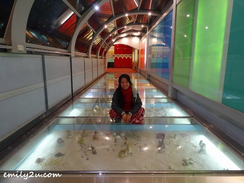  yours truly pose for a photo in the World Under the Sea, made of glass, of course