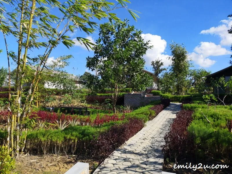 D’ Bamboo Kamp, Bintan