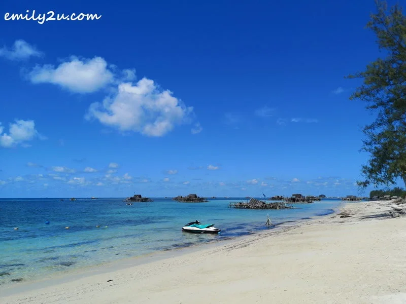 the beach and sea
