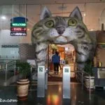 1 Cat Museum Kuching Sarawak