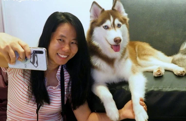 Doggie Fun Time @ Huskiss PJ