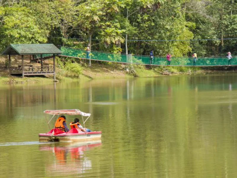 Rainforest Discovery Centre (Photo: Sabah Tourism Board)