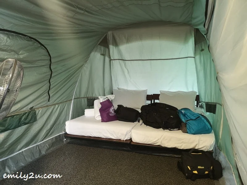one of the spacious tents for glamping