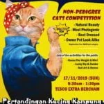 Announcement: Pertandingan Kucing Kampung Noahs poster