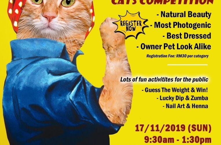 Announcement: Pertandingan Kucing Kampung