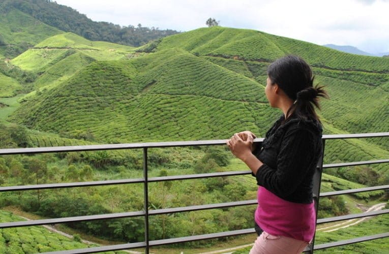 Oasis Amid Growing City