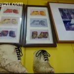 lotus shoes