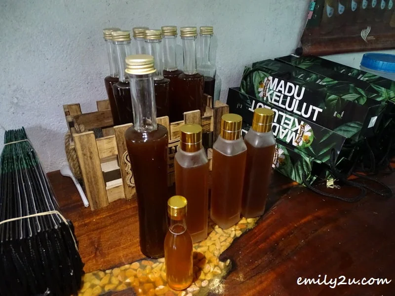  Azam Elky madu kelulut (stingless bee honey)