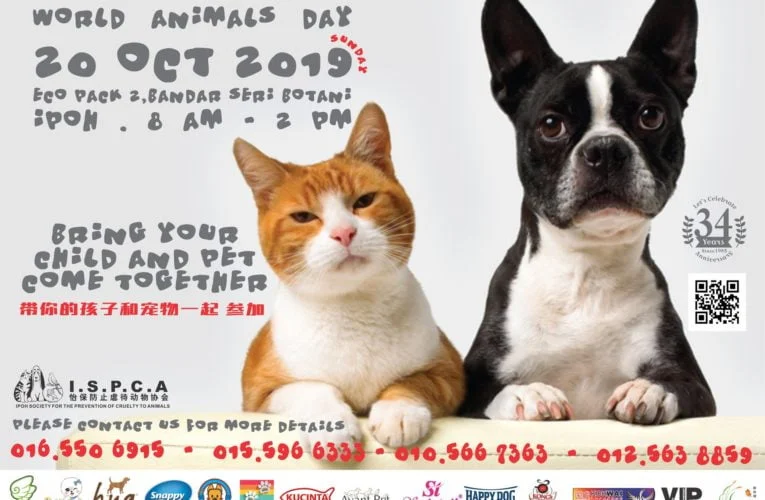 Announcement: World Animal Day Celebration