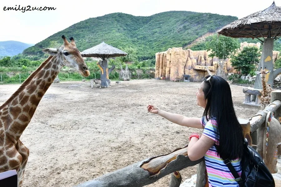  yours truly trying to trick a giraffe to come nearer