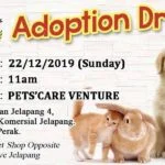 Pet Adoption