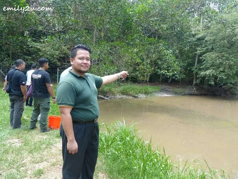 Mohd. Zulfadli Bin Zainor points at the pond where the false gharials live