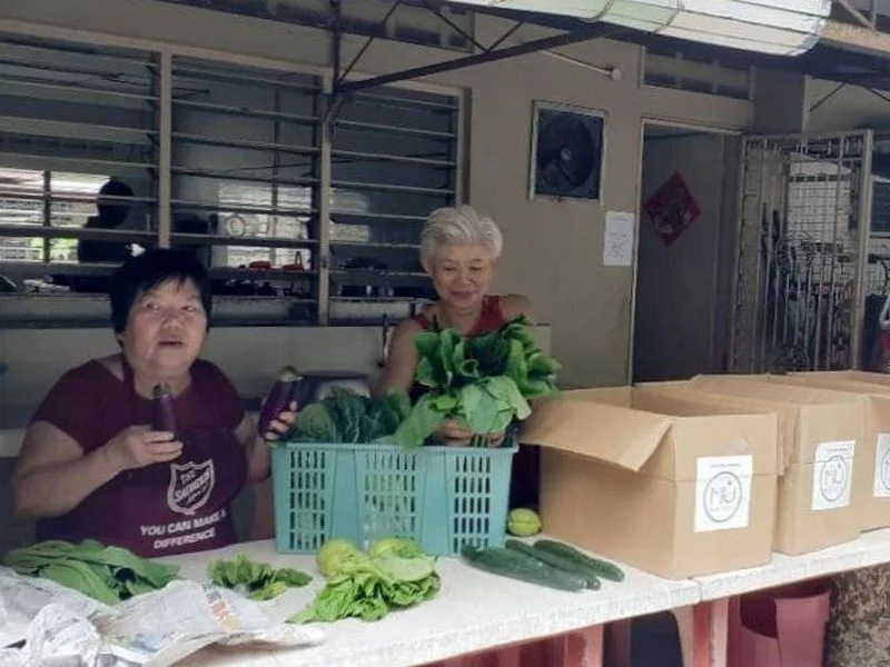 volunteers pack vegetables into boxes